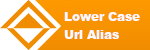bc_product_button_lower_case_url_alias bc_product_button_lower_case_url_alias